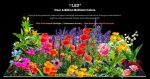 Skyworth 75" Q7700G 144Hz 4K QLED Smart Google Gaming TV - Image 3