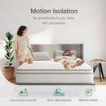 Decorum & Co - Pillow Top Mattress - Medium-Firm - Single - Image 4