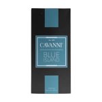 Cavanni Blue Island Perfume 60Ml - Image 4