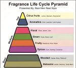 Royal Blend Nero by French Avenue Extrait de Parfum - 100ml - Image 3