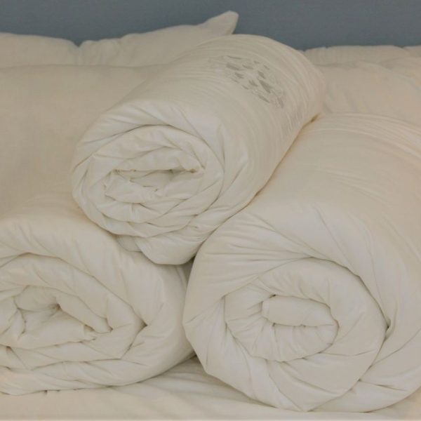 Cocoon Bedding 100% Mulberry Silk Filled FourSeason Duvet w/t Cotton Casing