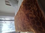 Super Thick & Soft Luxury Blanket - Image 19