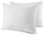 Anti Dust Mite Pillow Protectors (Pack of 2)
