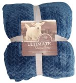 Sherpa Plush Blanket Chevron Patterned - Blue