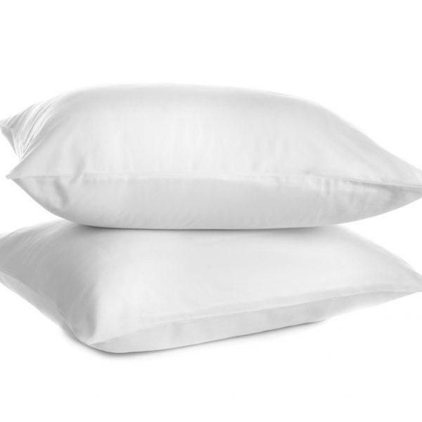 House Of Hamilton Standard Twin Pack Pillows