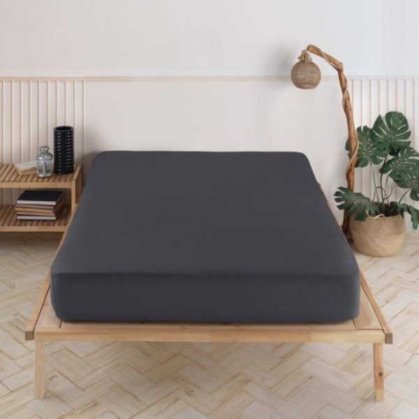 Dreyer 100% Cotton Percale 200TC Fitted Sheet