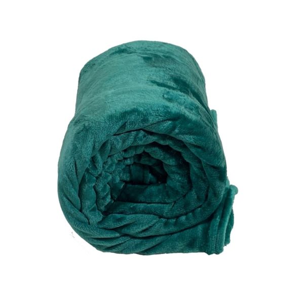 Loriene's Coral Fleece Blankets