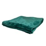 Loriene's Coral Fleece Blankets - Image 3