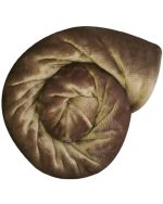 Whiteheads Faux Fur Blanket Throw - Natural - Image 2