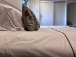 Dreyer Linen Luxury 100% Cotton Winter Sheet Set - Image 6