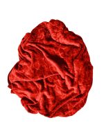 Rainbow - Fleece Blanket 210x180cm - Warm Winter Throw - Image 29