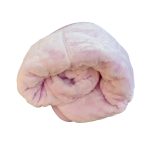 Baby and Toddler Mink Embossed Blanket 1 Ply - Image 4